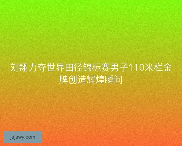 刘翔力夺世界田径锦标赛男子110米栏金牌创造辉煌瞬间