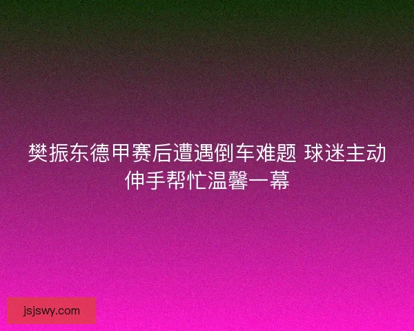 樊振东德甲赛后遭遇倒车难题 球迷主动伸手帮忙温馨一幕 樊振东德甲赛后遭遇倒车难题 球迷主动伸手帮忙温馨一幕
